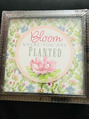 Bloom Where You Are Planted Framed Wall Art - Pink Succulent
